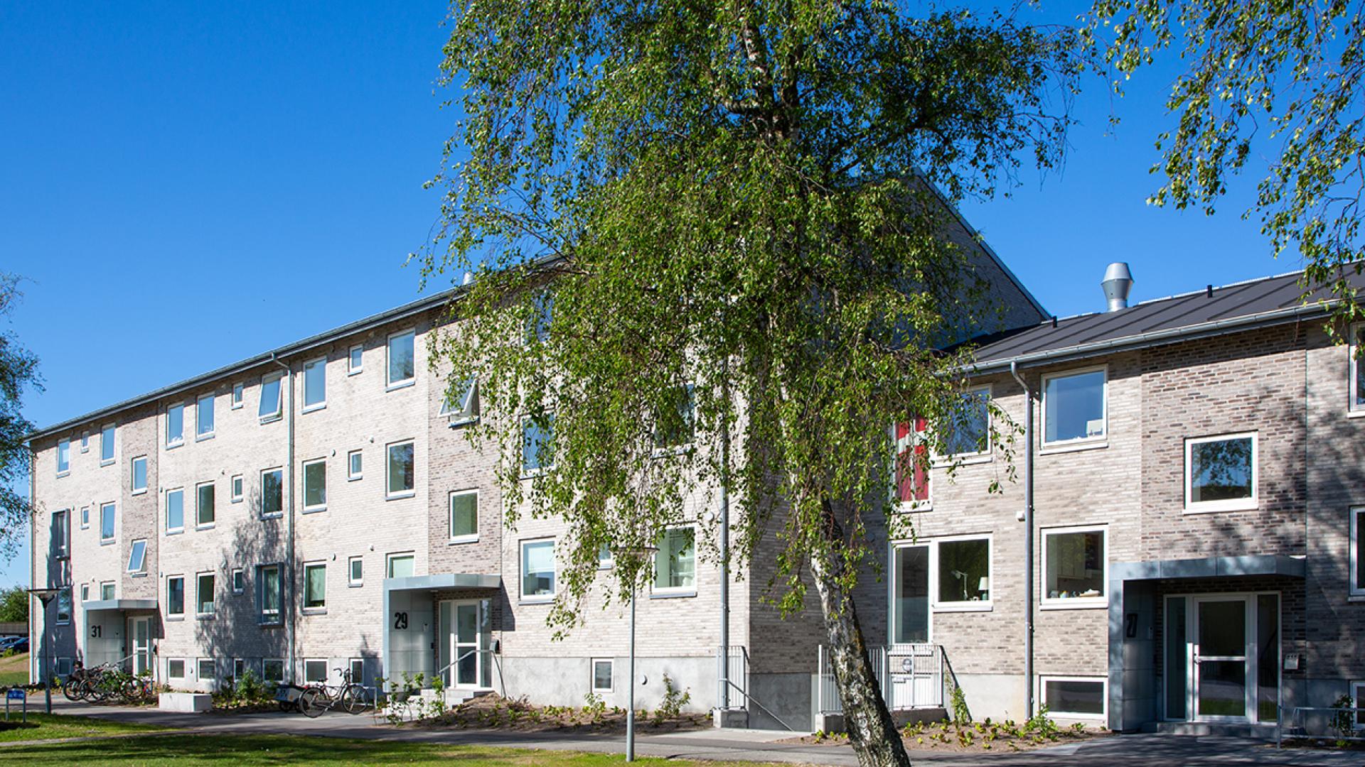 apartment-type-image-1