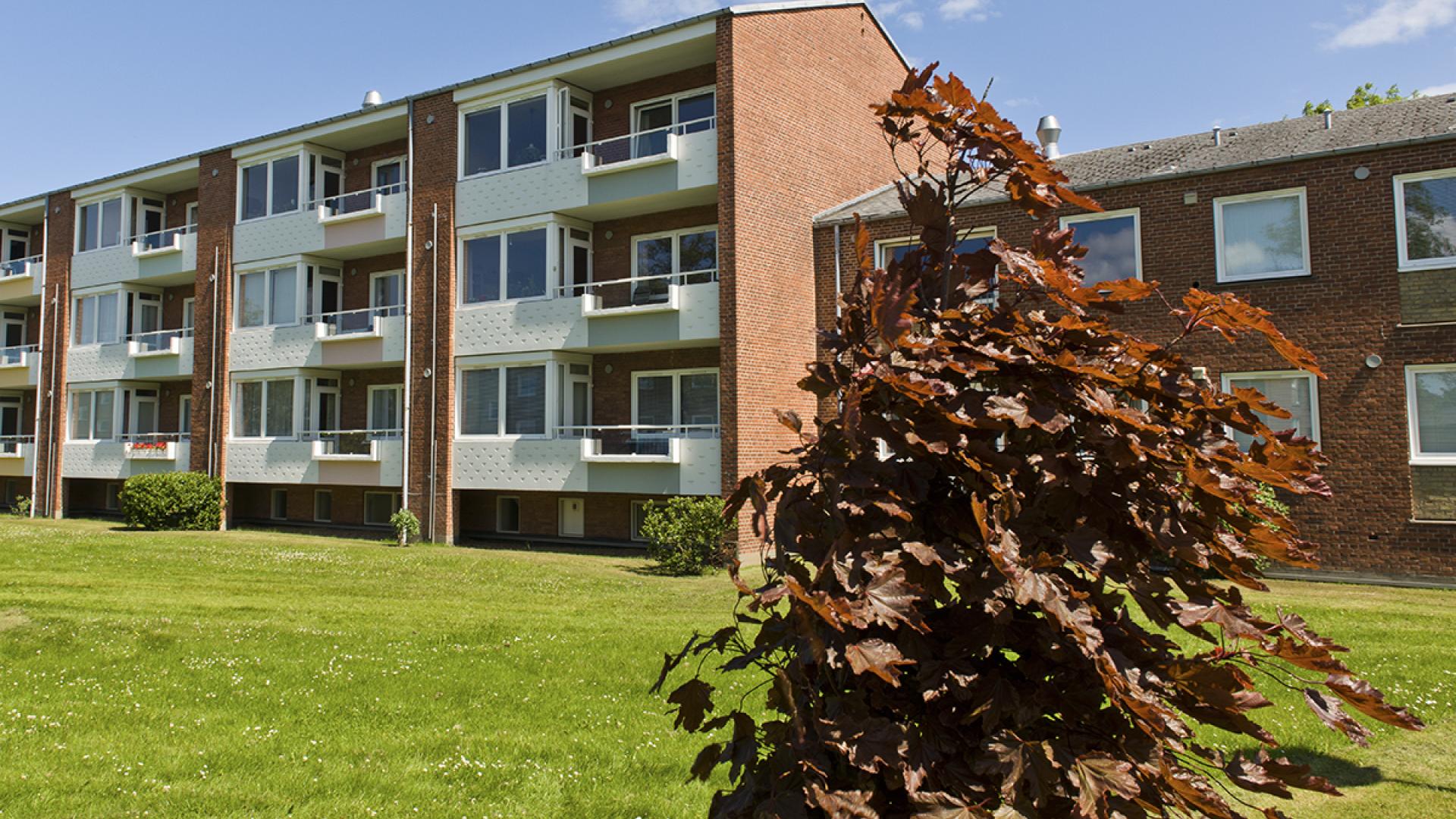 apartment-type-image-1