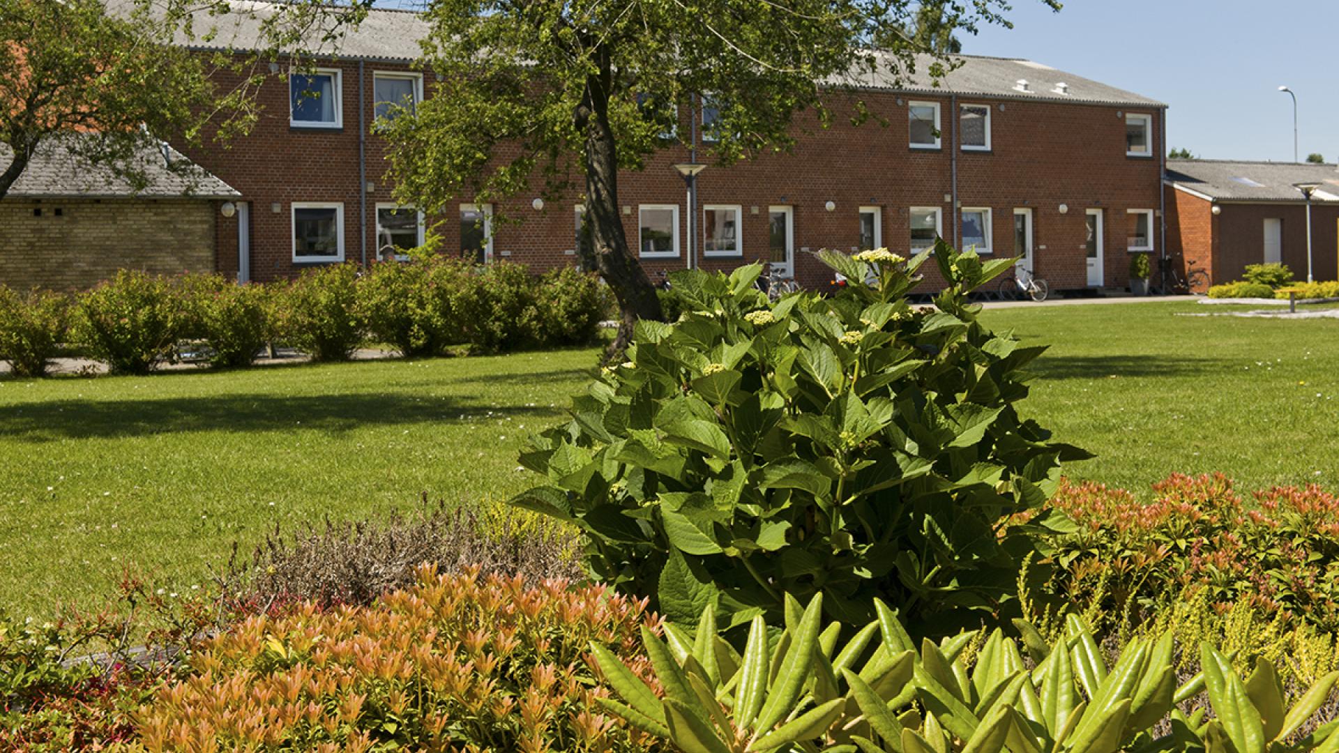 apartment-type-image-1