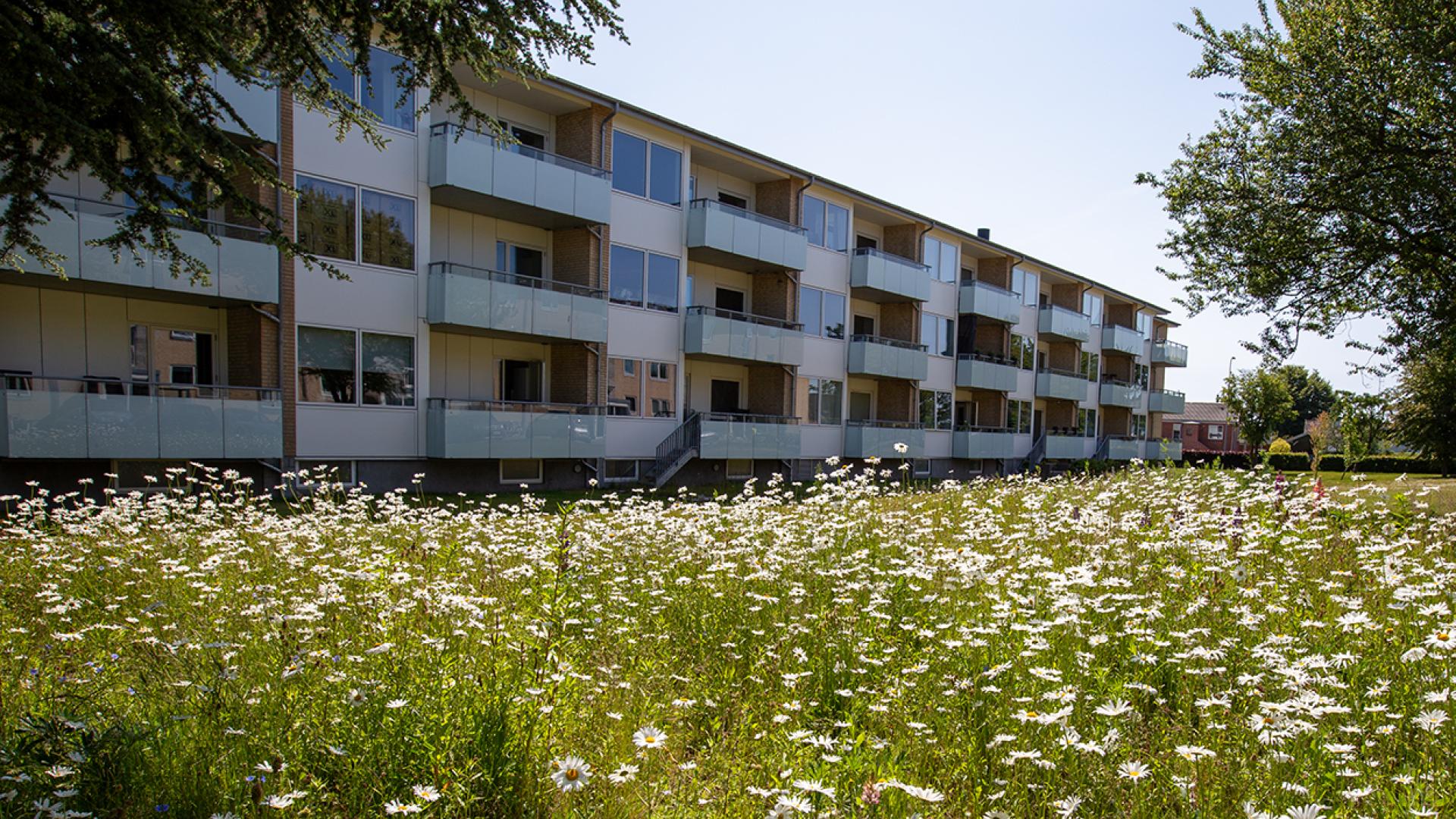 apartment-type-image-3