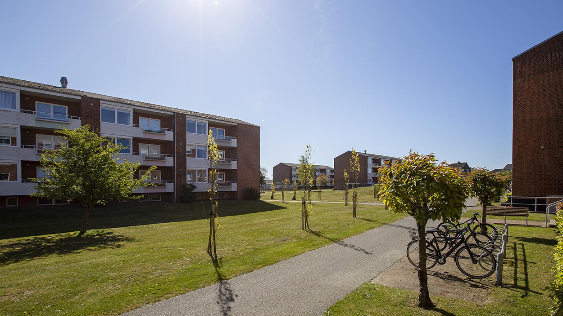department-image-4