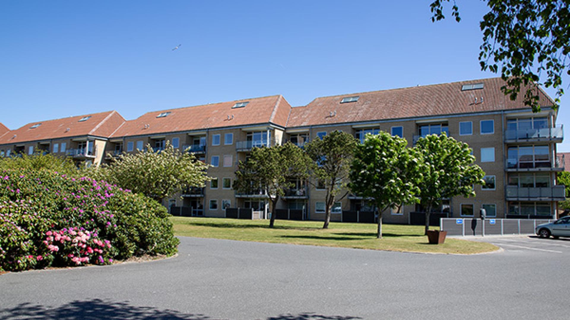 apartment-type-image-3