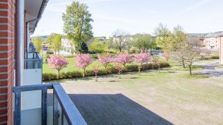 department-image-7
